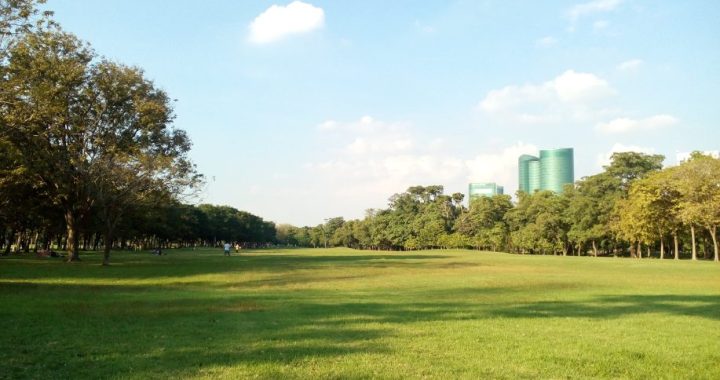 ประกาศขายที่ดิน: เคล็ดลับและวิธีสร้างความโดดเด่นให้ที่ดินขายออกเร็ว